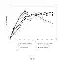 Fig. 07 - CONSTRUCTION OF A LACTOBACILLUS CASEI ETHANOLOGEN
