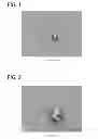 Fig. 02 - MICELLAR POLYSILOXANE ENZYME IMMOBILIZATION MATERIALS