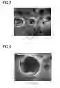 Fig. 04 - MICELLAR POLYSILOXANE ENZYME IMMOBILIZATION MATERIALS