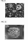 Fig. 06 - MICELLAR POLYSILOXANE ENZYME IMMOBILIZATION MATERIALS