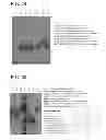 Fig. 23 - MICELLAR POLYSILOXANE ENZYME IMMOBILIZATION MATERIALS