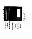 Fig. 09 - Medium comprising transforming growth factor βand basic fibroblast growth factor