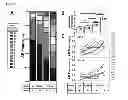 Fig. 06 - Methods of introducing nucleic acids into cellular DNA