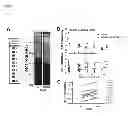 Fig. 07 - Methods of introducing nucleic acids into cellular DNA