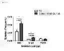 Fig. 08 - Methods of introducing nucleic acids into cellular DNA