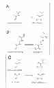 Fig. 01 - Method for harvesting nanoparticles and sequestering biomarkers