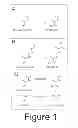 Fig. 02 - Method for harvesting nanoparticles and sequestering biomarkers