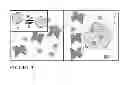 Fig. 04 - Method for harvesting nanoparticles and sequestering biomarkers