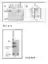 Fig. 08 - Method for harvesting nanoparticles and sequestering biomarkers