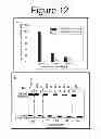Fig. 11 - Method for harvesting nanoparticles and sequestering biomarkers