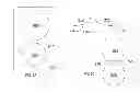 Fig. 07 - System for trapping, interacting and modifying single protein molecules using a double-nanohole structure
