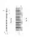 Fig. 07 - Through silicon via dies and packages