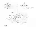 Fig. 02 - Synthesis, capping and dispersion of nanocrystals