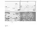 Fig. 08 - Synthesis, capping and dispersion of nanocrystals