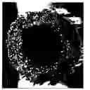 Fig. 01 - Fiber-on-tip contact design brush assemblies
