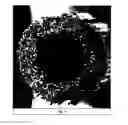 Fig. 06 - Fiber-on-tip contact design brush assemblies