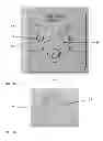 Fig. 04 - Swimming pool deckplate for horizontal surfaces with integrated slopes around electrical contacts