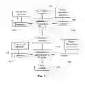 Fig. 02 - Policy determined accuracy of transmitted information