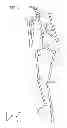 Fig. 05 - VIRTUAL JOINT ORIENTATION IN VIRTUAL SKELETON