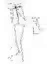 Fig. 08 - VIRTUAL JOINT ORIENTATION IN VIRTUAL SKELETON
