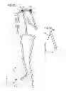 Fig. 10 - VIRTUAL JOINT ORIENTATION IN VIRTUAL SKELETON