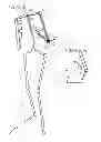 Fig. 11 - VIRTUAL JOINT ORIENTATION IN VIRTUAL SKELETON