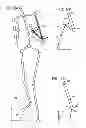 Fig. 13 - VIRTUAL JOINT ORIENTATION IN VIRTUAL SKELETON