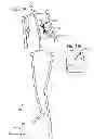 Fig. 14 - VIRTUAL JOINT ORIENTATION IN VIRTUAL SKELETON