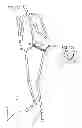 Fig. 15 - VIRTUAL JOINT ORIENTATION IN VIRTUAL SKELETON