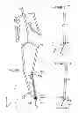 Fig. 17 - VIRTUAL JOINT ORIENTATION IN VIRTUAL SKELETON