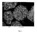 Fig. 02 - Particulate metallocene-alumoxane catalyst