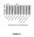 Fig. 20 - Nanocapsulation of essential oils for preventing or curing infectious diseases alone or with an antibiotic