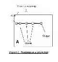 Fig. 02 - MICROFLUIDIC AND NANOFLUIDIC DEVICES, SYSTEMS, AND APPLICATIONS