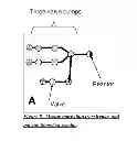 Fig. 09 - MICROFLUIDIC AND NANOFLUIDIC DEVICES, SYSTEMS, AND APPLICATIONS
