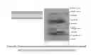 Fig. 45 - MICROFLUIDIC AND NANOFLUIDIC DEVICES, SYSTEMS, AND APPLICATIONS