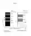 Fig. 04 - Techniques for determining haplotype by population genotype and sequence data