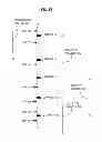Fig. 08 - Techniques for determining haplotype by population genotype and sequence data