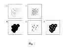Fig. 02 - Centroid markers for image analysis of high density clusters in complex polynucleotide sequencing