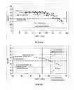 Fig. 06 - Diketopiperazine microparticles with defined specific surface areas
