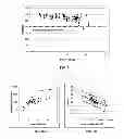 Fig. 07 - Diketopiperazine microparticles with defined specific surface areas