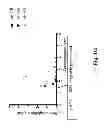 Fig. 02 - GLP-1 COMPOSITIONS