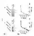 Fig. 09 - Methods and compositions for modulating TNF/TNFR signaling