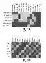 Fig. 03 - Compositions having antiangiogenic activity and uses thereof