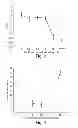 Fig. 06 - Compositions having antiangiogenic activity and uses thereof
