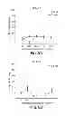 Fig. 08 - Compositions having antiangiogenic activity and uses thereof