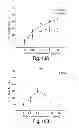 Fig. 22 - Compositions having antiangiogenic activity and uses thereof