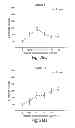 Fig. 32 - Compositions having antiangiogenic activity and uses thereof