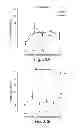 Fig. 34 - Compositions having antiangiogenic activity and uses thereof