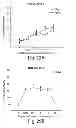 Fig. 35 - Compositions having antiangiogenic activity and uses thereof