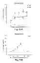 Fig. 37 - Compositions having antiangiogenic activity and uses thereof
